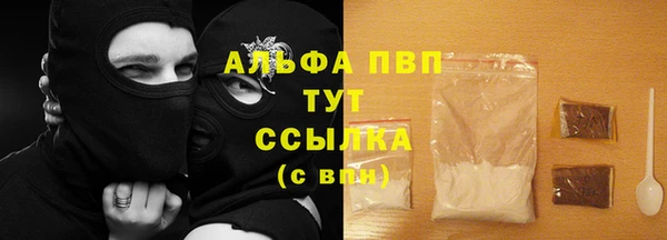 шишки Арсеньев