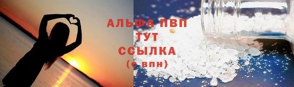 шишки Арсеньев