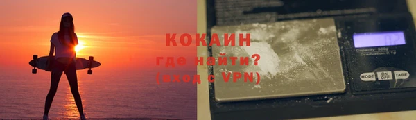 шишки Арсеньев