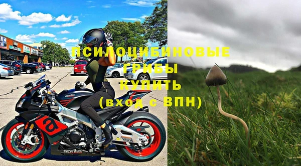 бошки Армянск