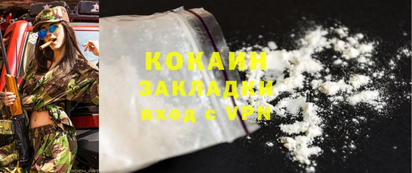 шишки Арсеньев