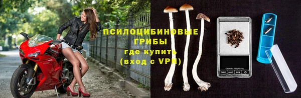 твердый Аркадак