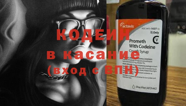 шишки Арсеньев