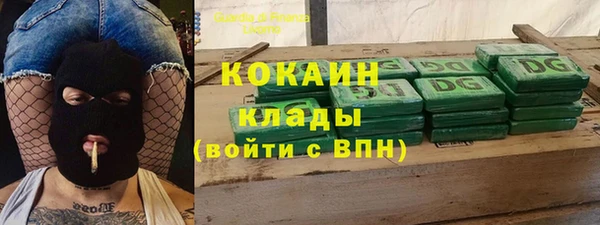 твердый Аркадак