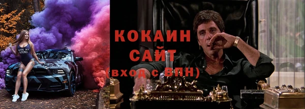 шишки Арсеньев