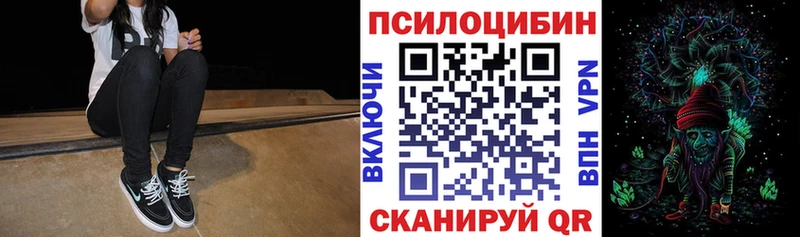 Псилоцибиновые грибы GOLDEN TEACHER  Порхов 